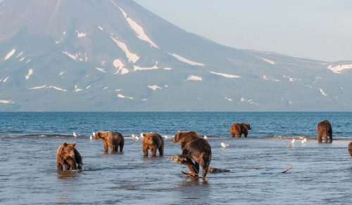 10 DAYS RUSSIAN FAR EAST: UNTOUCHED WILDERNESS & FORGOTTEN HISTORY (15 – 24 Aug 2026) *FULL*
