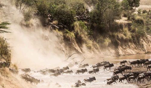 9 DAYS TANZANIA MIGRATION SAFARI (18 – 26 Jul 2026) *Closed*