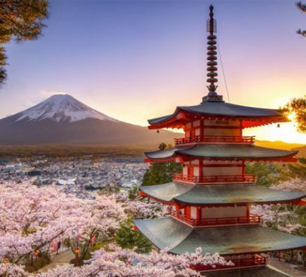 Disembarkation in Tokyo