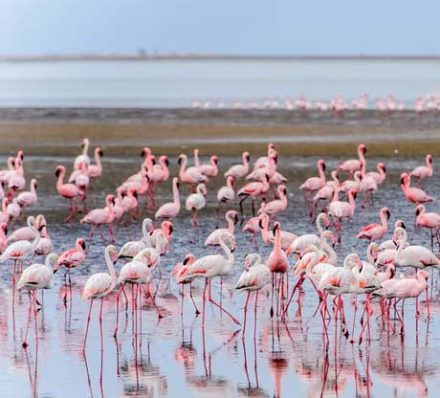WALVIS BAY, NAMIBIA