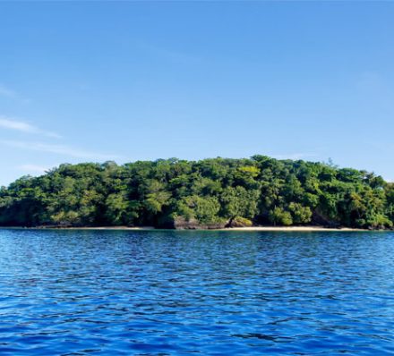 01 OCT 2026 (THU) RINGGOLD ISLES - COBIA, FIJI