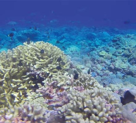 10 OCT 2026 (SAT) TIKIHAU, TUAMOTU ARCHIPELAGO, FRENCH POLYNESIA