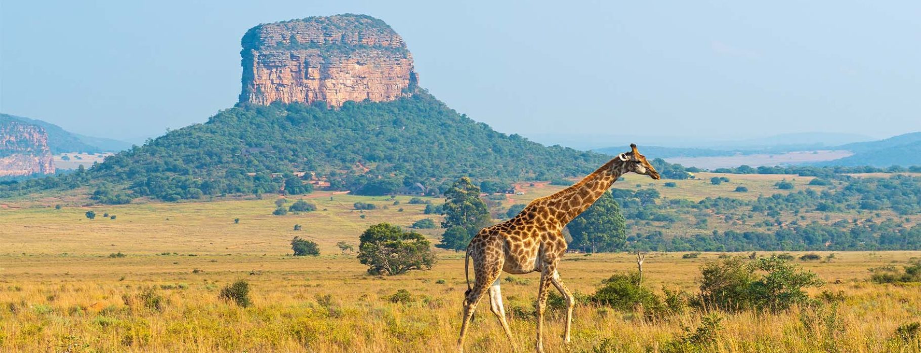 Zambia
