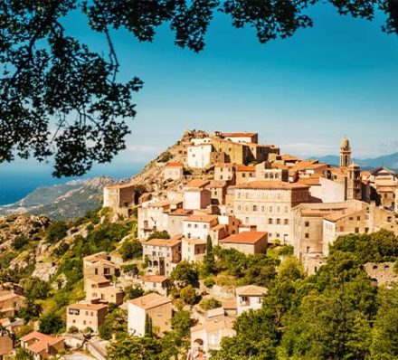 Calvi