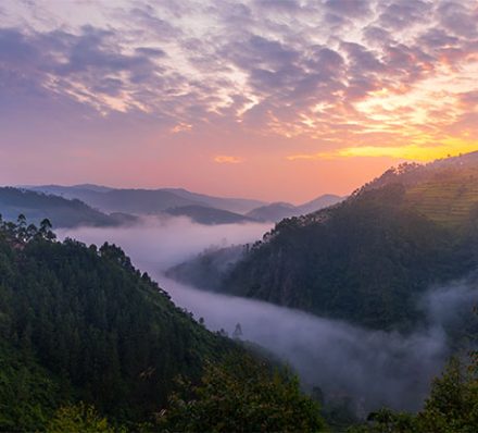 Queen Elizabeth NP / Bwindi NP