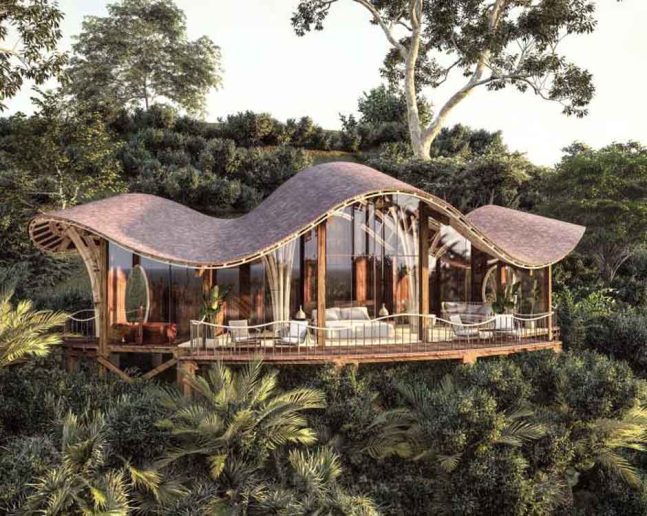 Bwindi NP