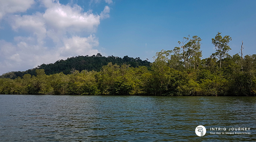 Cardamom Mountains Cambodia