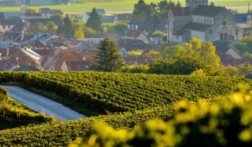 7 DAYS CHAMPAGNE & BURGUNDY WINE TOUR (02 – 08 MAY 2027)