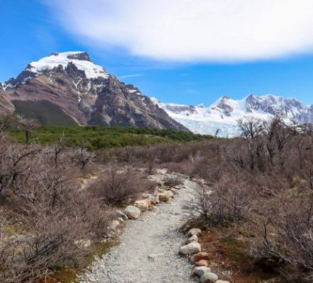 EL CALAFATE / EL CHALTEN