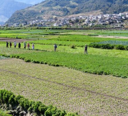 LAKE ATITLAN
