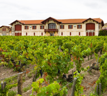 07 SEP 2027 (TUE) PAUILLAC