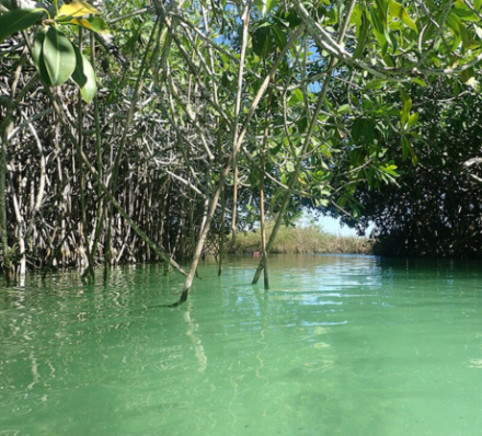 Tulum