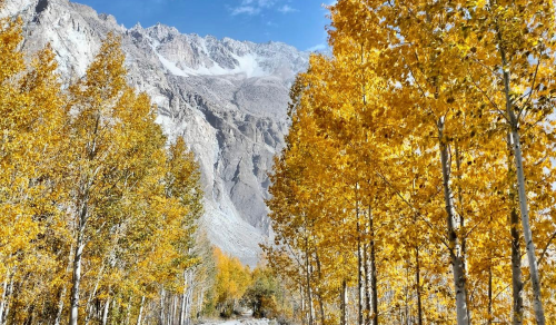 *NEW* 11 DAYS SILK ROAD AUTUMN: PAKISTAN HERITAGE TO WESTERN XINJIANG (22 OCT – 01 NOV 2027) *Confirmed Departure*