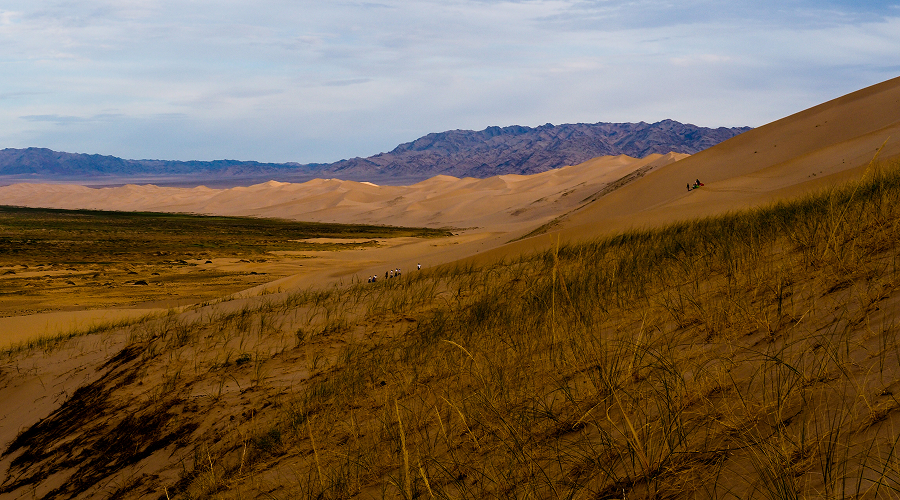 Grassy landscape overlooking vast Gobi Desert sand dunes.