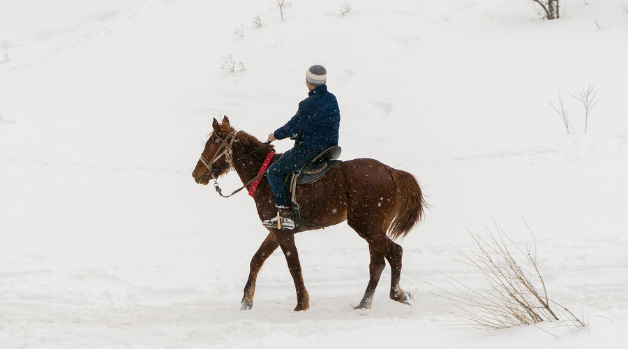 Nomad riding brown horse through heavy winter snow.