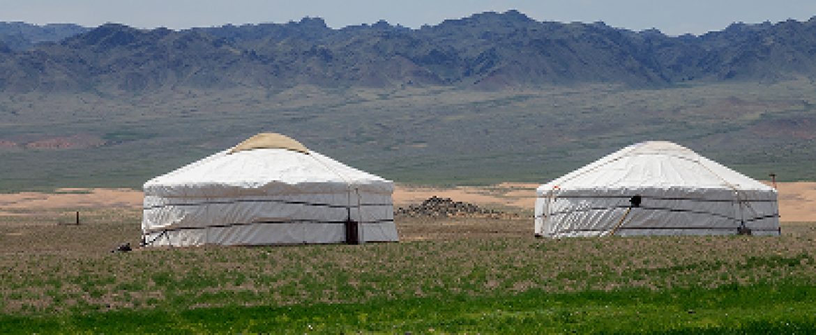 Luxury gers set up in the Gobi Desert.