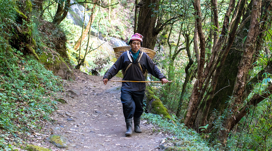 Himalayan guide walking on forest path with traditional basket