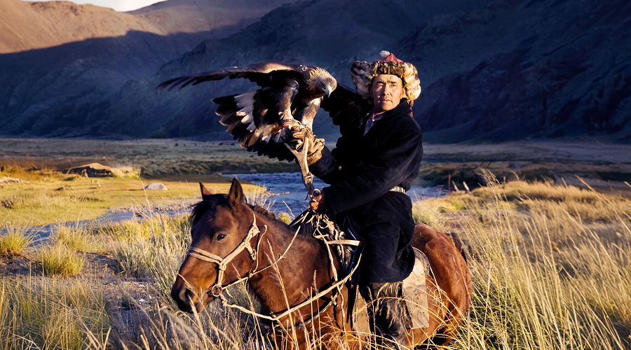 Mongolian horseman holding a golden eagle on the steppe.